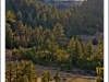 gardner-ranch-west