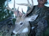 jay-sealock-va