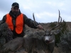 bill-reynolds-jr-pa
