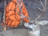 randall-mcneice-wa