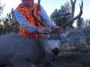 bill-mortison