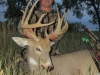 Bruce Clemens