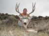 Dave Magill